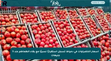 أسعار الخضراوات في دمياط تسجل استقرارًا نسبيًا مع بقاء الطماطم عند 5 جنيهات